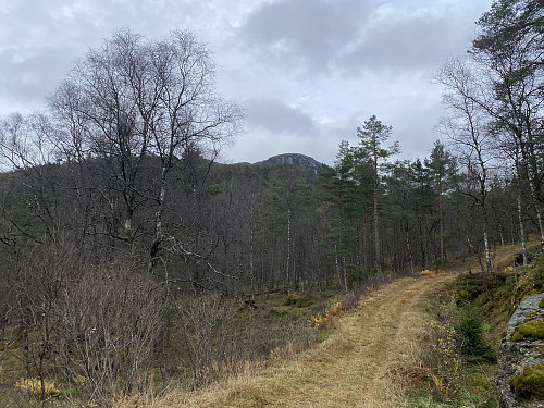 Toppen sett fra like etter veidelet mot Sletthaug...