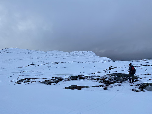 På topplatået med vardepunktet på det midtre toppunktet