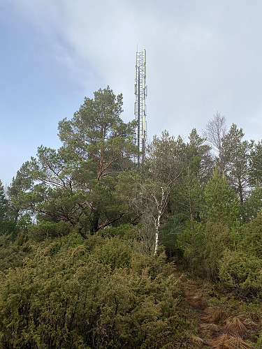 Moderne infrastruktur på Alnaåsen, det må nok til i våre dager