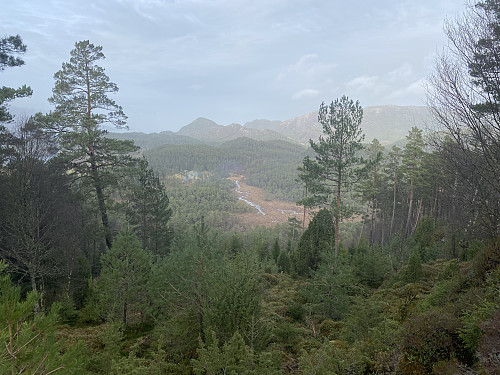På god veg mot Vardåsen med tilbakeblikk mot sagbruket jeg startet fra. Bakerst sees også Krakefjellet som er neste mål
