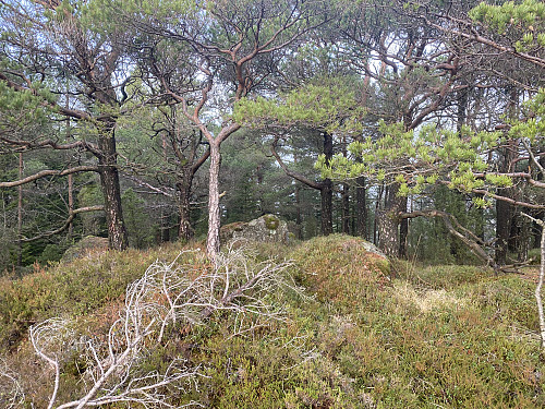 Anonymt toppunkt også på Krakefjellet