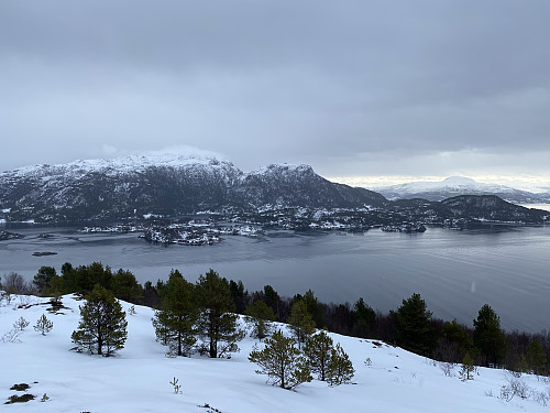 Mot Freikollen, Lågfjellet og Reinsfjellet bakerst