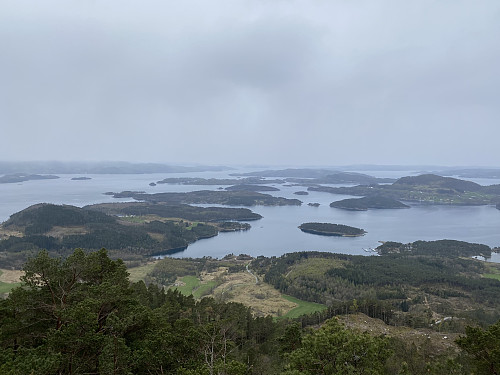Flott utsikt over Ryfylkeøyane. Me ser bl.a. langstrakte Børøy sentralt og Halsnøy med høgreiste Eikefjellet til høgre