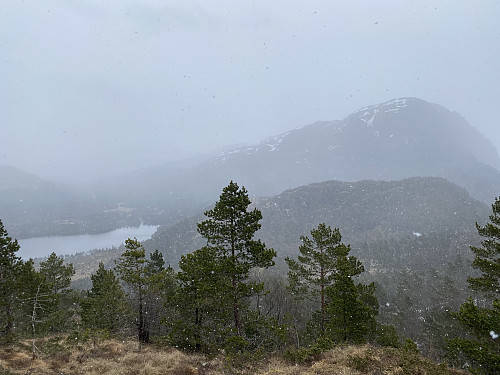 Frå oppunder toppen med tilbakeblikk mot Akslandsnuten og Vasstølvatnet gjennom snøbyga