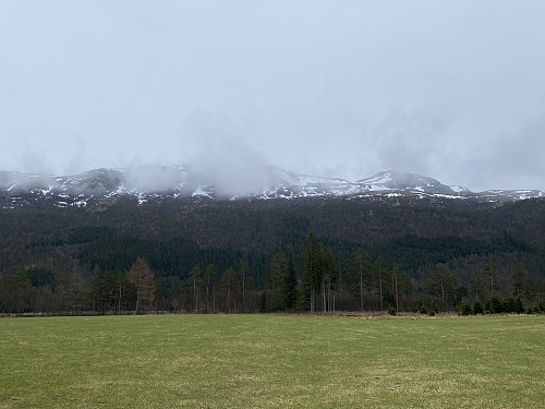Dyrka mark ved Røyravatnet og med Horganuten i skyene