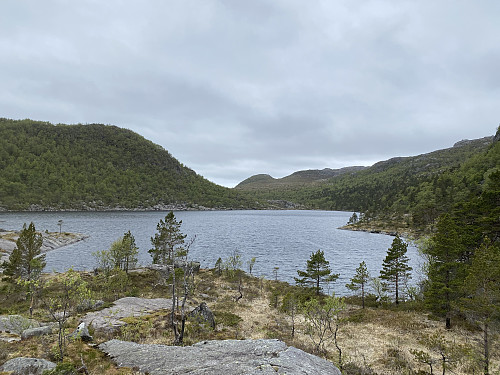 Ved store Nagatjødna med utsikt vestover mot Nagaheia