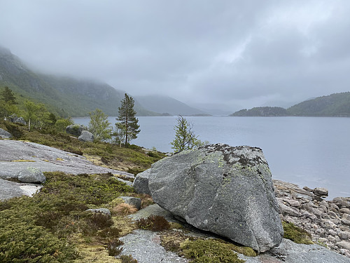 Frå same staden med tilbakeblikk austover Svortingsvatnet. Revafjellet og Nibba er heilt borte i skodda