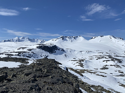 Kledelige blikkfang på Sognefjellet