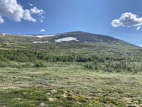 Blåhøa sett fra Haukskardmyrene