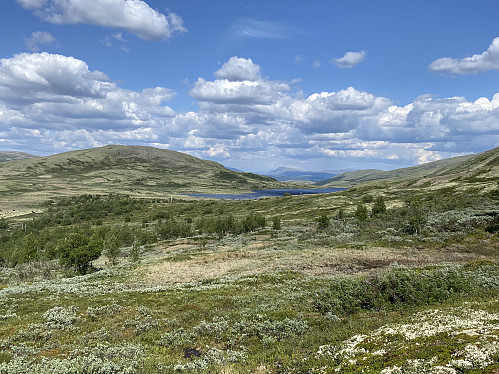 Mot Mehøa og Haukskardtjørna