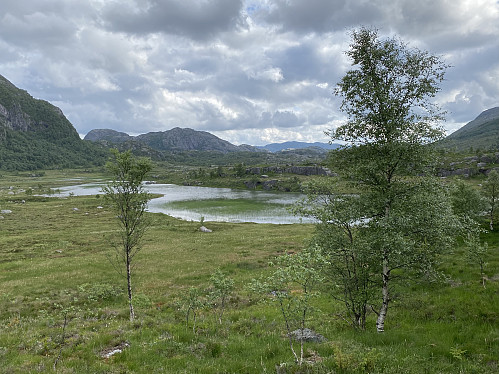 Ved Teinebekktjødnane, og me skal straks ta av frå hovudstien. Me ser i retning Sunnmorkhølen med Kvelvaknuten og Beinafjellet dominerande