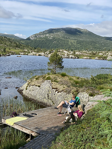 Slaraffenliv midtsommarkvelden på brygga