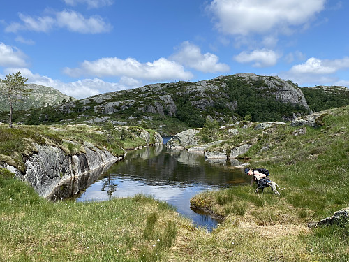 Idyll ved Longatjødna