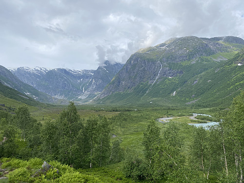Mot elvesletta i Austerdalen ½ times gange fra Tungestølen. Bretunga er skjult bak Austerdalsnova langt der framme