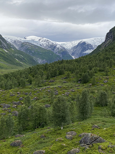 Vakkert kveldslys over Langedalen og breen
