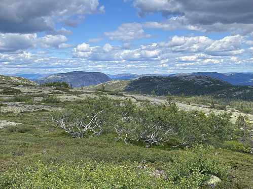 Oppe på topplatået får vi første synet av Hægefjell