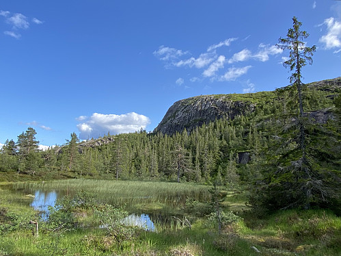 Idyllisk tjørn under "den runde nuten"