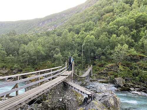 Over Utla på solid, men gyngende hengebru