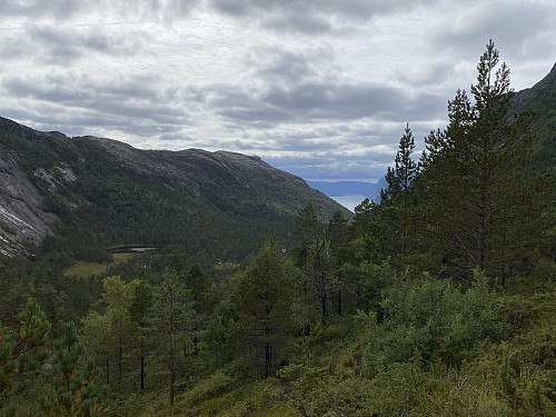 I Skurvedalen med utsikt mot Paradis