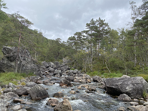 Skurvåna renn heldigvis urørd!