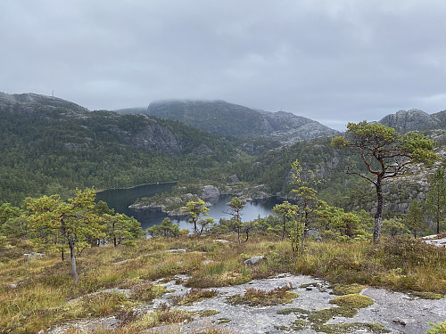 Tilbakeblikk mot Skogavatnet