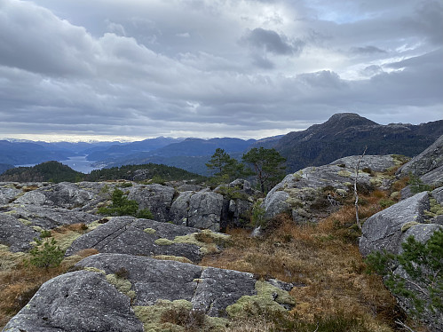 Litt lenger oppe åpnar utsikten seg nordover óg. Me ser Sand og kvitpynta Saudafjell, og Moltenuten stikk seg fram rett over Lovrafjorden