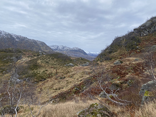 Ved den vesle haugen på snaut 750moh. Her kommer Skrumsnuten til syne, hvor jeg var for tre uker siden