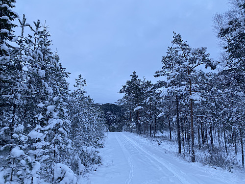 Førjuls julekort-motiv ovanom Boremyr