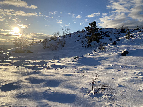 Sjeldan førjuls julekort-motiv frå Førlandsåsen!