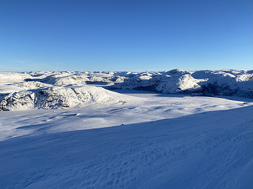 Oppunder toppen av Vardhusheia med utsikt austover mot Krøys