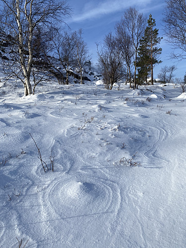 Fint mønster i nysnøen