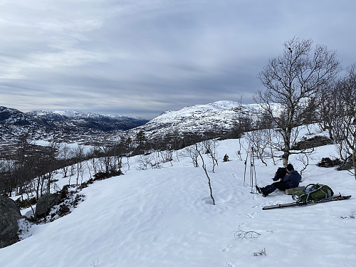 Oppe av den tettaste bjørkeskogen og på tide å bytta til ski