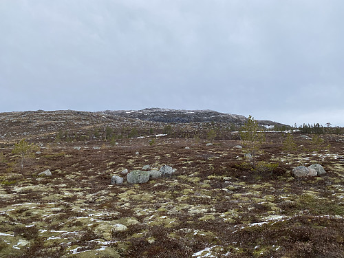 Med kurs for Høgehei
