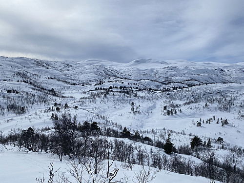 Fra oppunder toppen med utsikt i retning Fossen. Langesænuten, Grøhovdnuten og Simleskjåen danner kledelig bakgrunn