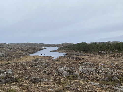 Mot sørenden av Litla Mjåvatnet med dei tre turmåla i bakgrunnen og Søre Sålefjell aller bakerst