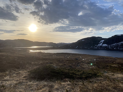 Maimorgon i Røsselia