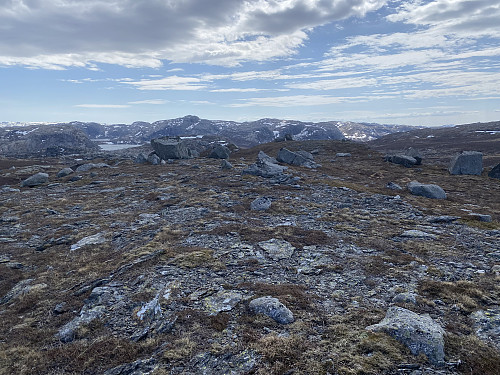 På toppen av Beinheia. Krøysaheia ragar høgast i bakgrunnen