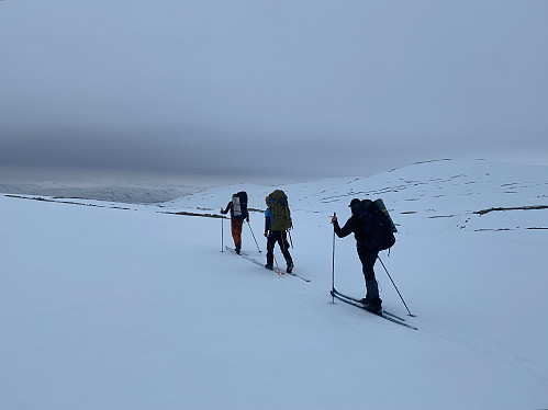 Lett retur fra Skarvedalen på blanke ski