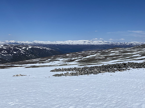 Skia er forlengst kommet på, og utsikten mot Reinheimen i nord blir stadig bedre. Her med Stamåhjulet, Skarvedalseggen og selveste Gråhøa 2014 til høyre for midten