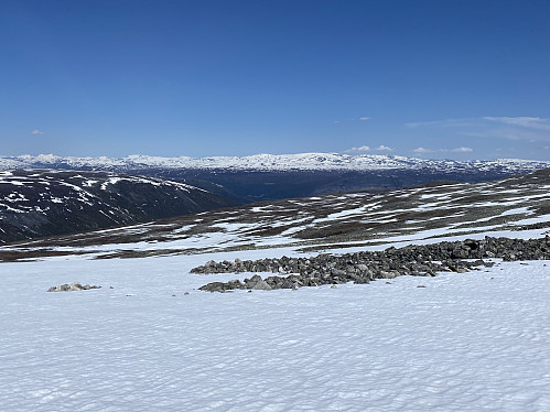 Skia er forlengst kommet på, og utsikten mot Reinheimen i nord blir stadig bedre. Her med Stamåhjulet, Skarvedalseggen og selveste Gråhø 2014 til høyre for midten