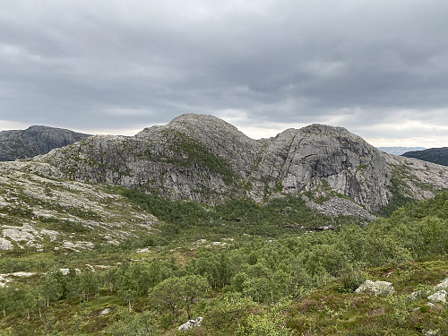 Godlifjellet tek seg godt ut!