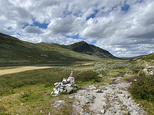 Idyll på returen, ved 1124-tjørna mot Baksidevassberget