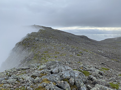 Fin egg ut til Røsstinden, 400m sør for infrastrukturen på Gullsvågfjellet