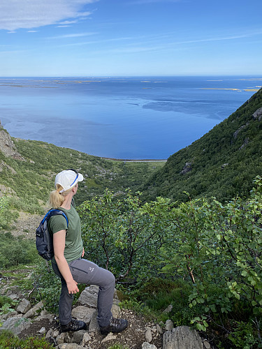 Herlig tilbakeblikk fra om lag samme sted