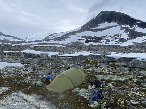 Etablering av teltleir på 1400moh i Steindalen
