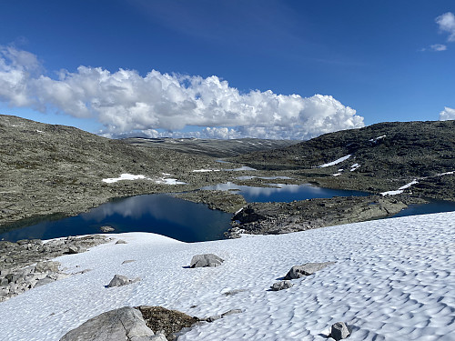 Fine tjørner på rekke og rad ved Tundradalsbandet, hvor vi har hatt en god pause