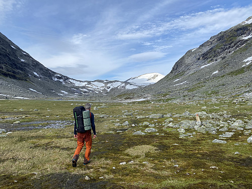 Fra samme sted mot botnen i Vesledalen