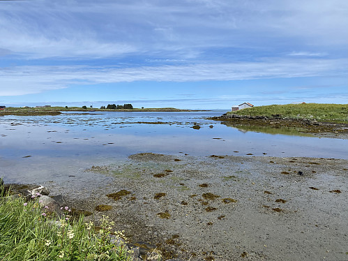 Vakkert i fjæra på Vega I