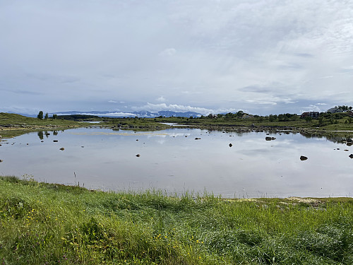 Vakkert i fjæra på Vega II