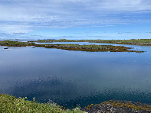 Vakkert i fjæra på Vega III